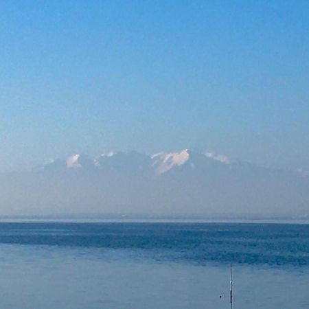 Le Barcarès, front de mer, vue mer et accès direct plage Esterno foto